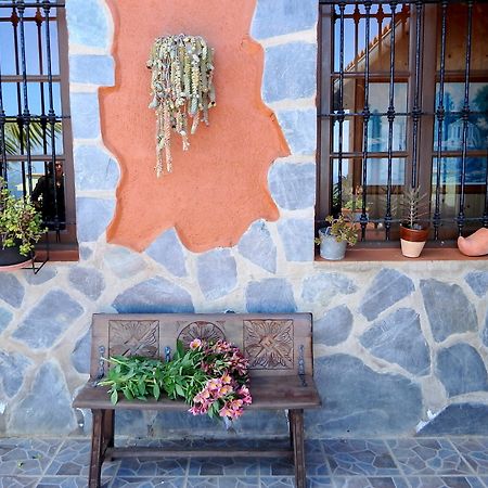 Finquita La Villa 伊科德·德·洛斯·维诺斯 外观 照片